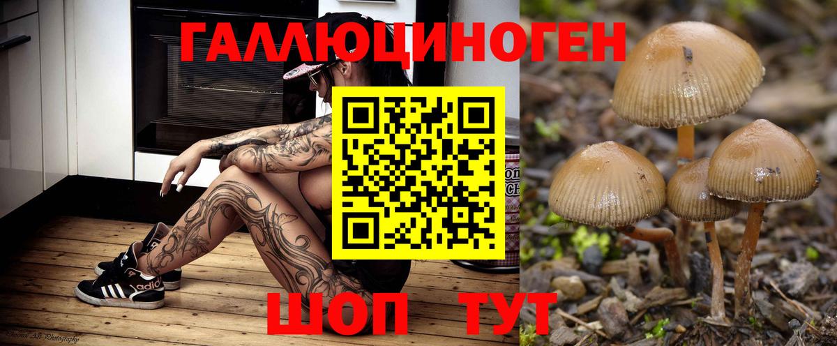 Псилоцибиновые грибы Psilocybe  Псилоцибиновые грибы Cubensis  Севастополь  Вход с VPN 